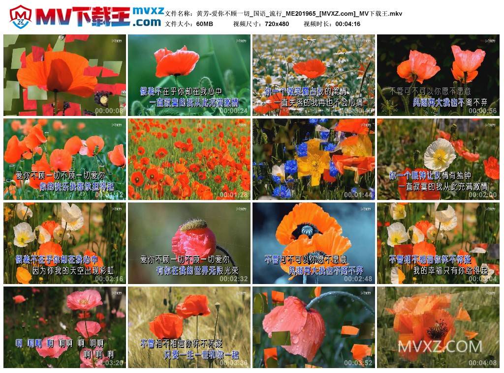 黄芳-爱你不顾一切_国语_流行_ME201965